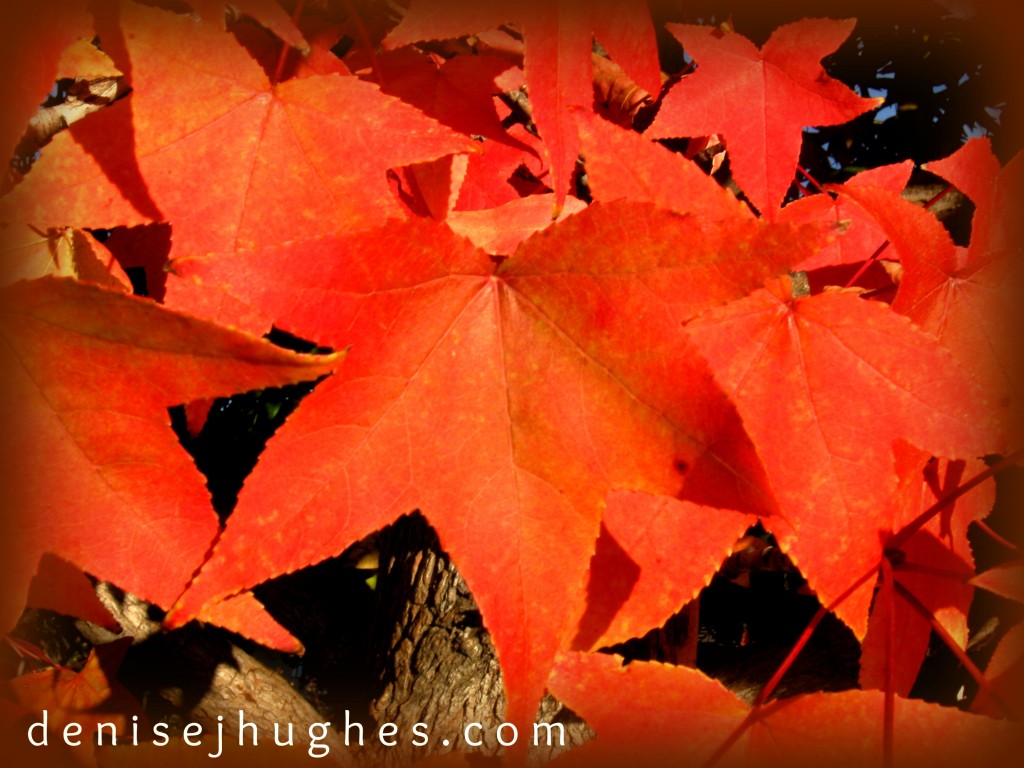 Leaf