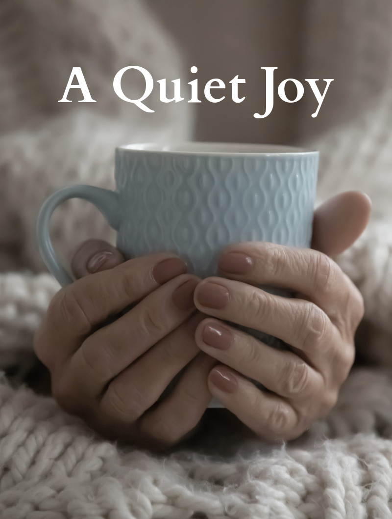 A Quiet Joy